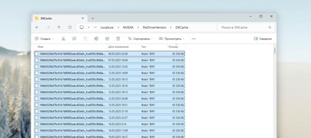 Как удалить файлы DXCache в Windows и освободить место на диске